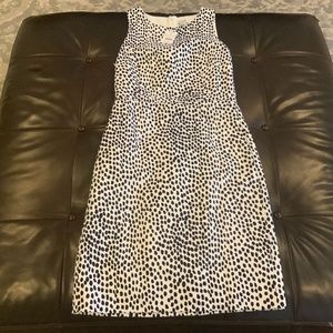 J Crew Factory Cheetah Print Dress